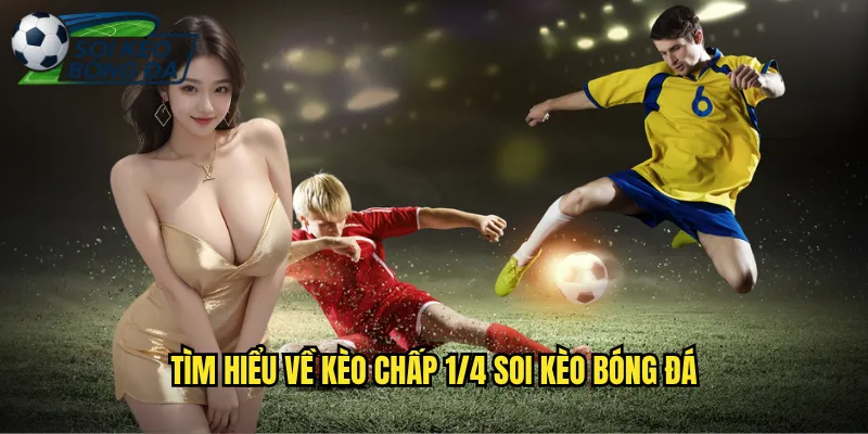 Kèo Chấp 1/4 Soi Kèo Bóng Đá Hiểu Rõ Kèo Chấp Một Phần Tư 2 Tìm Hiểu Về Kèo Chấp 1/4 Soi Kèo Bóng Đá